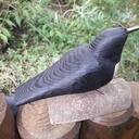 Oiseau sculpté dans une chute de tasseau