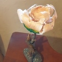 L'éclosion de l'homme fleur