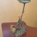 L'éclosion de l'homme fleur