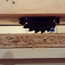 Une scie sous table pour pas un rond.