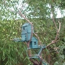 Rêve de cabane bleue