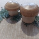 Champignons en hêtre