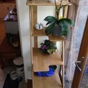 Étagère à plantes