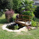 Le petit pont de bois