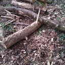 Découverte du travail du bois sans machine