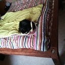 Lit assemblage biseau