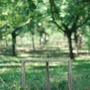 Table basse en Noyer