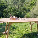 Le bois se souvient... Une table et son relief