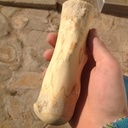 Pilon-mortier cèdre et  buis