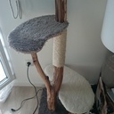 Arbre à Chat