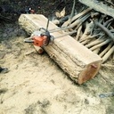 Sciage  grumes de frêne