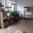 à gauche, la colonnade Drugeot.