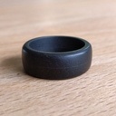 Un anneau (pour les gouverner tous ?)