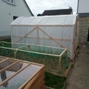 Une petite serre tunnel