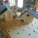 Après les coccinelles...les mésanges !