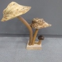 Mangeoire champignons