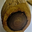 Travail de dame nature