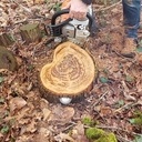 La famille lapins - Décoration extérieure de Pâques