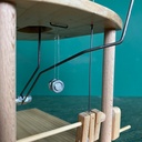 Chat jouant à la balle