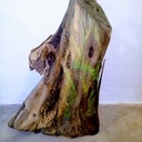 Sculpture d'un vieux pied d'olivier.