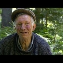 Le ceuilleur d'arbres