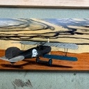 Albatros sur le front