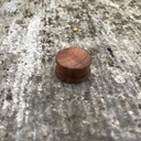 Plug et écarteur d’oreille