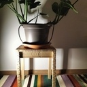 Un écrin en bois pour ma Monstera !