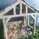 Etable pour ma crèche