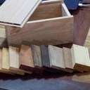 Faire sa Xylothèque