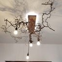 Suspension noisetier tortueux et chêne