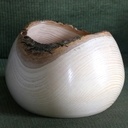 Un peu de rondeurs...