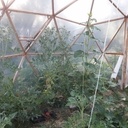 la porte et une des fenêtres avec le verin