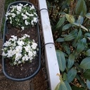 Rambarde cache misère