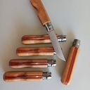 Opinel customs pour Noël