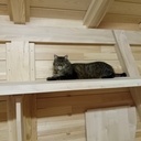 Châlet de jardin sur mesure.