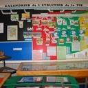 Panneau 1250x 2500 pour les scolaires et expo Paléontologie sur l'évolution de la vie lettres découpées ctp 5 mm les cartes de la dérive des continents et les formations montagneuses ctp 5mm pour le relief