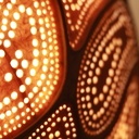 Les veines de la calebasse sont visibles par endroits