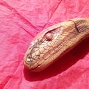 Demi-louche...demi-sculpté