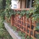 Ma rampe de galerie.