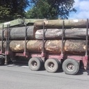 Sortie de la propriété en grumier