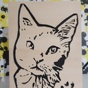 Portrait de chat chantourner