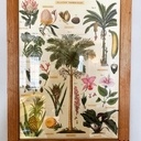 Cadre à photos / posters