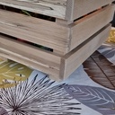 Caisse jouets  du chien