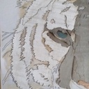 Montage sur cale Tigre Blanc marqueterie