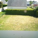 Haie taillée jardin tondu, la beauté des lotissements ! Et une aberration écologique.