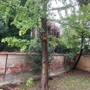 Plus qu’un nid, un nichoir!