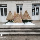 Petit foret de sapin