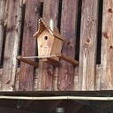 Nichoir à mésanges