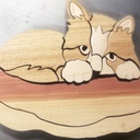 Le chat dans son couffin